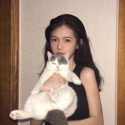 闪斗神乐破解版下载